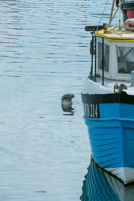 Kilmore Quay 2018 (014)